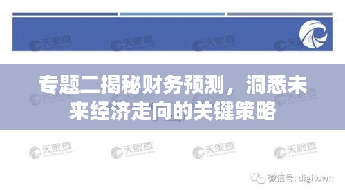 专题二揭秘财务预测，洞悉未来经济走向的关键策略