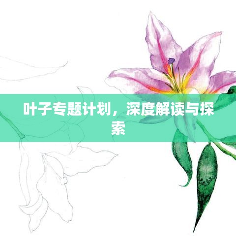 叶子专题计划，深度解读与探索