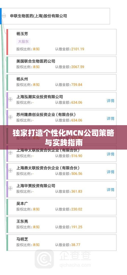 独家打造个性化MCN公司策略与实践指南