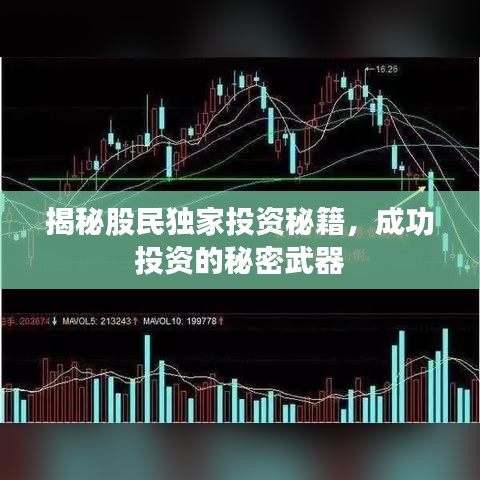 揭秘股民独家投资秘籍，成功投资的秘密武器