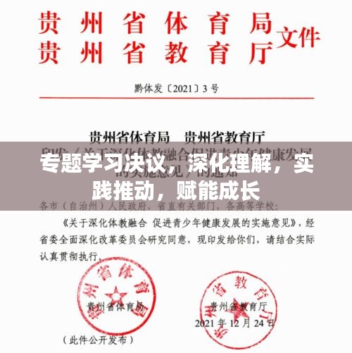 专题学习决议，深化理解，实践推动，赋能成长