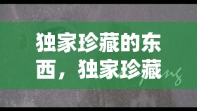 独家珍藏的东西，独家珍藏的东西是什么 