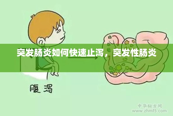 突发肠炎如何快速止泻，突发性肠炎 