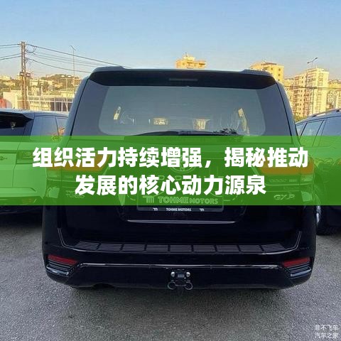 组织活力持续增强，揭秘推动发展的核心动力源泉