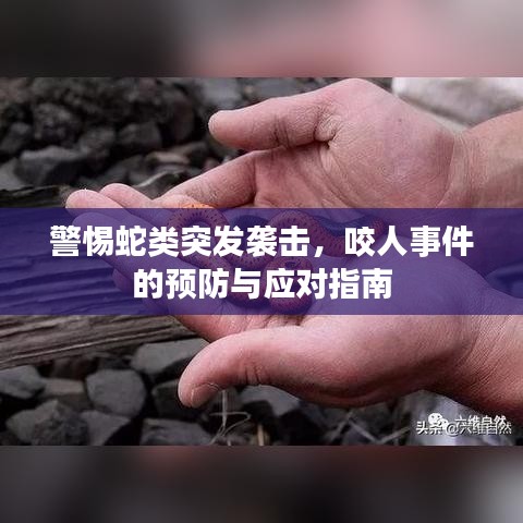 警惕蛇类突发袭击，咬人事件的预防与应对指南