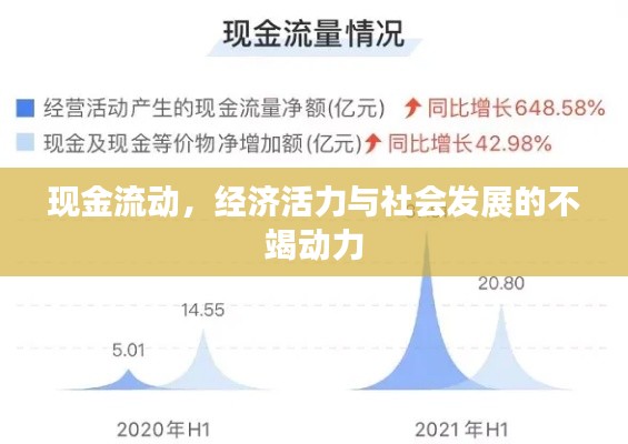 现金流动，经济活力与社会发展的不竭动力