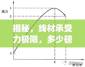 揭秘，线材承受力极限，多少磅剪力不断？