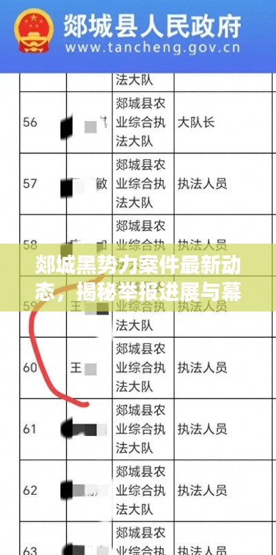 郯城黑势力案件最新动态，揭秘举报进展与幕后真相