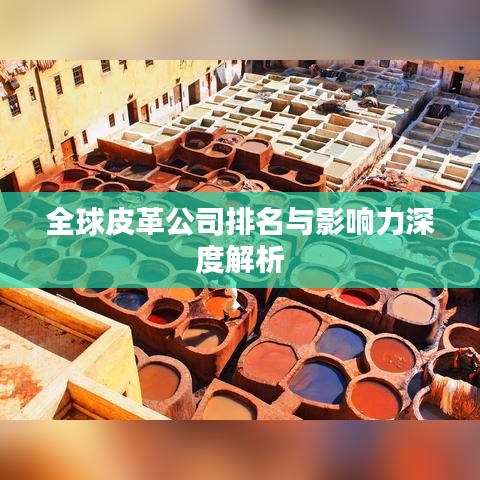 全球皮革公司排名与影响力深度解析