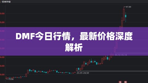 DMF今日行情，最新价格深度解析