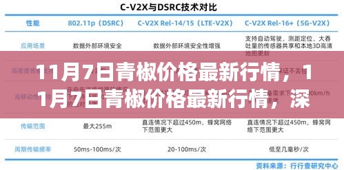 深度解析，11月7日青椒市场最新行情及未来趋势展望