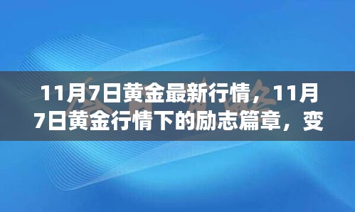 11月7日黄金行情下的励志篇章，变化中的学习与自信成就之源