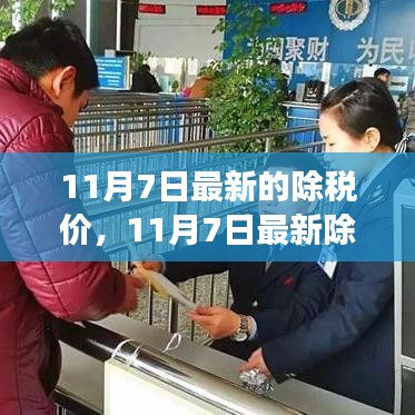 11月7日最新除税价政策解读与个人立场探讨，洞悉最新除税价动态