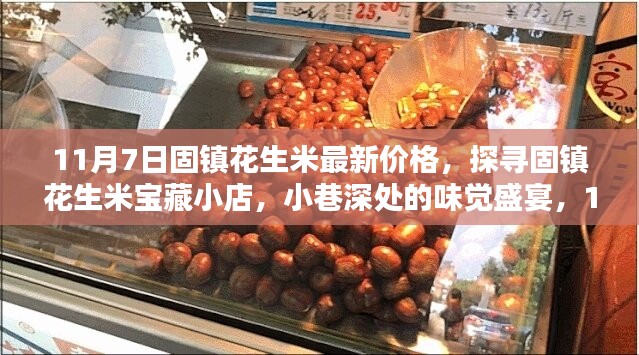 探寻固镇花生米宝藏小店，最新价格揭秘与小巷深处的味觉盛宴