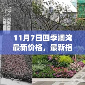 11月7日四季澜湾最新价格指南，初学者到进阶用户的全方位解析