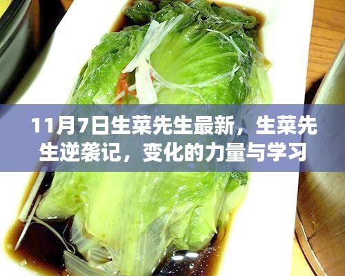 生菜先生逆袭记，变化的力量与学习的魅力，最新历程回顾（11月7日更新）