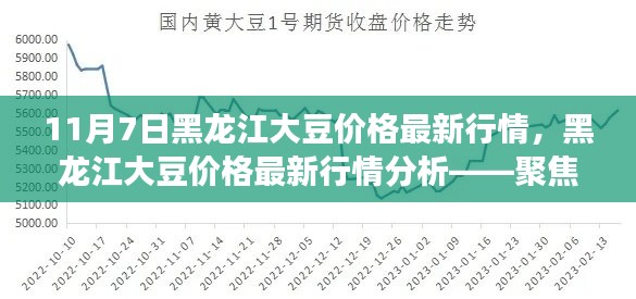 黑龙江大豆价格最新行情分析，聚焦市场动态（11月7日）