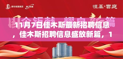 11月7日佳木斯最新招聘信息，盛放新篇的机遇与挑战