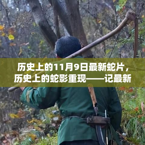 历史上的蛇影重现，最新蛇片与特殊意义的11月9日