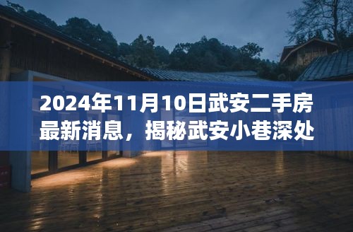 揭秘武安宝藏小巷与特色小店魅力，最新二手房市场动态与独特体验