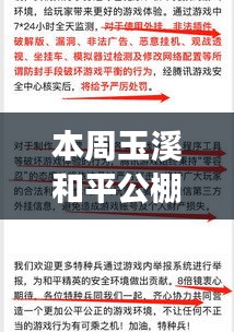 玉溪和平公棚最新公告解读，多维视角探讨某某观点的深度探讨