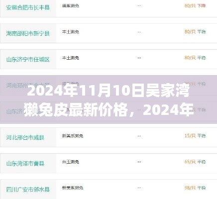 2024年11月10日吴家湾獭兔皮市场最新价格动态及分析，价格走势深度解析