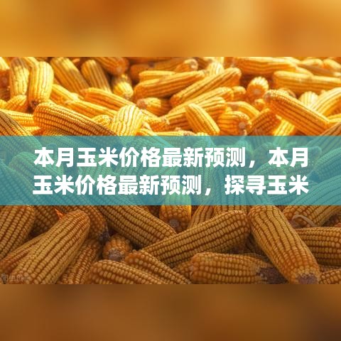 广告纸抽 第148页