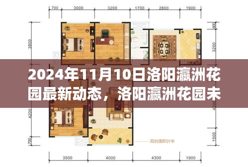 2024年11月10日洛阳瀛洲花园新动向深度解读，未来动态与机遇展望