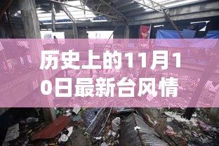 历史上的11月10日台风实录，实时动态与背后的励志故事和变化力量