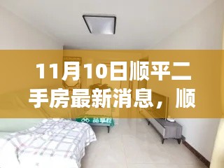 顺平二手房市场最新动态解析，11月10日深度解读市场脉动