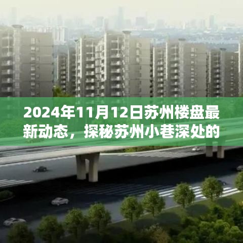 探秘苏州宝藏楼盘与特色小店，2024年苏州楼盘最新动态纪实