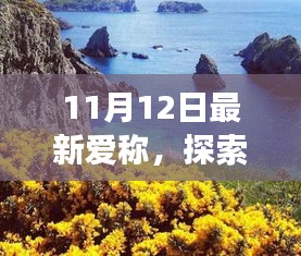 11月12日新爱称揭晓，自然发现之旅启程！