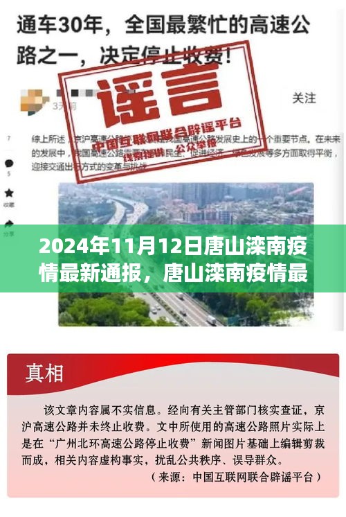 唐山滦南疫情最新通报，多维视角下的个人立场分析（2024年11月12日）