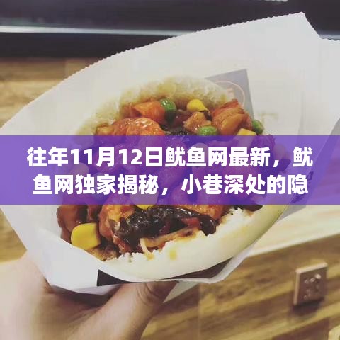 鱿鱼网独家揭秘，小巷深处的隐藏美食宝藏，一探独特环境魅力，历年11月12日最新资讯报道