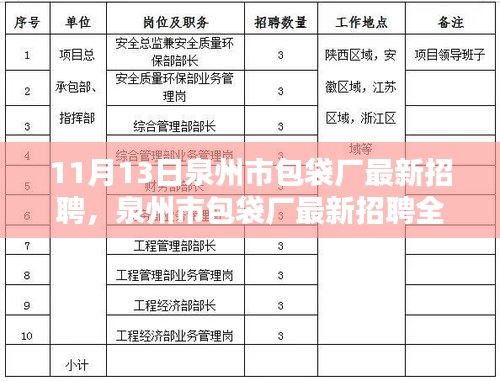 泉州市包袋厂最新招聘全面解析，产品特性、用户体验与目标用户群体分析