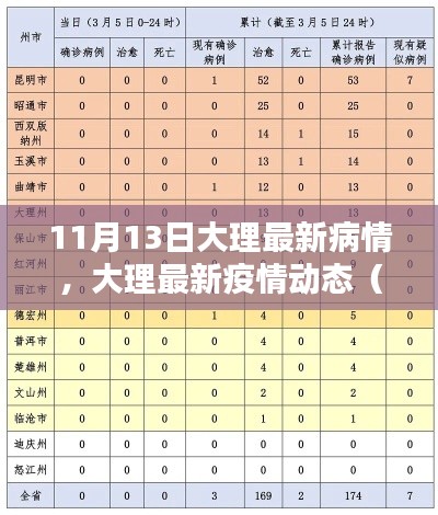 大理疫情最新动态报告，11月13日大理疫情更新及最新病情分析