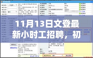 11月13日文登最新小时工招聘，初学者指南与步骤详解