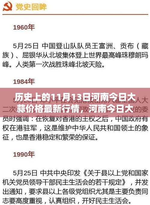 河南大蒜价格历史风云与最新行情揭秘，今日大蒜价格背后的变迁故事