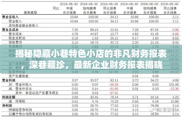 揭秘隐藏小巷特色小店的非凡财务报表，深巷藏珍，最新企业财务报表揭晓