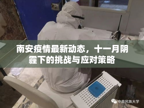 南安疫情最新动态，十一月阴霾下的挑战与应对策略