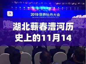 湖北蕲春漕河历史上的11月14日人才招聘盛会盛大开启，最新职位火热招募中