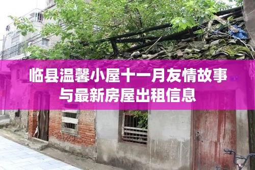 临县温馨小屋十一月友情故事与最新房屋出租信息