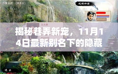 揭秘巷弄新宠，11月14日最新别名下的隐藏瑰宝探秘