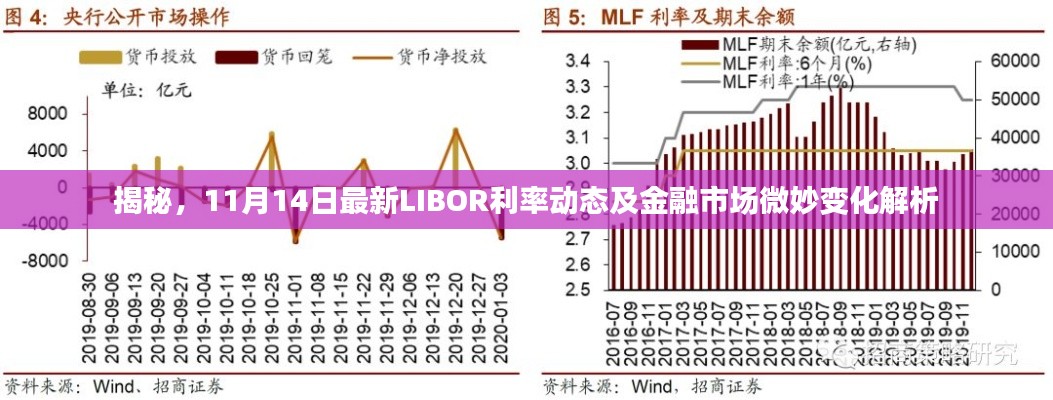 揭秘，11月14日最新LIBOR利率动态及金融市场微妙变化解析