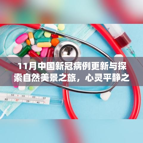 11月中国新冠病例更新与探索自然美景之旅，心灵平静之旅启程