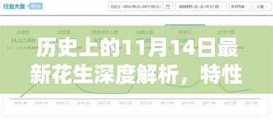 历史上的11月14日最新花生深度解析，特性、体验与竞品对比全攻略