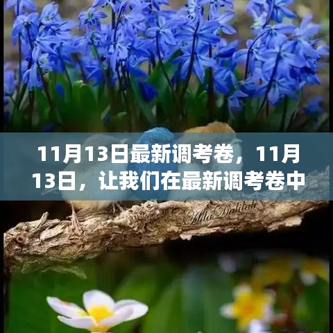 探寻自然美景的奇妙之旅，最新调考卷解析与体验（11月13日）