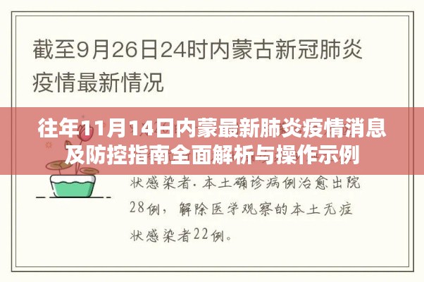 往年11月14日内蒙最新肺炎疫情消息及防控指南全面解析与操作示例