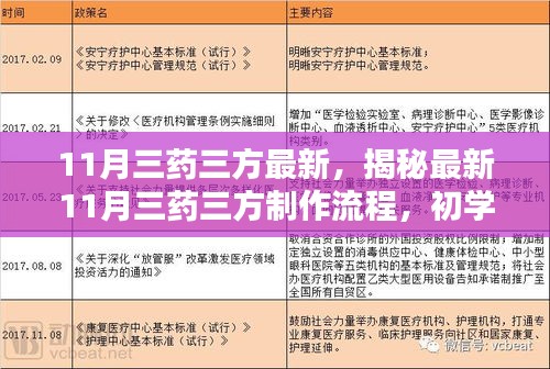 揭秘最新11月三药三方制作流程，全方位指南，适合初学者与进阶者参考