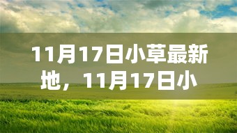 探索自然之美，11月17日小草最新地独特体验